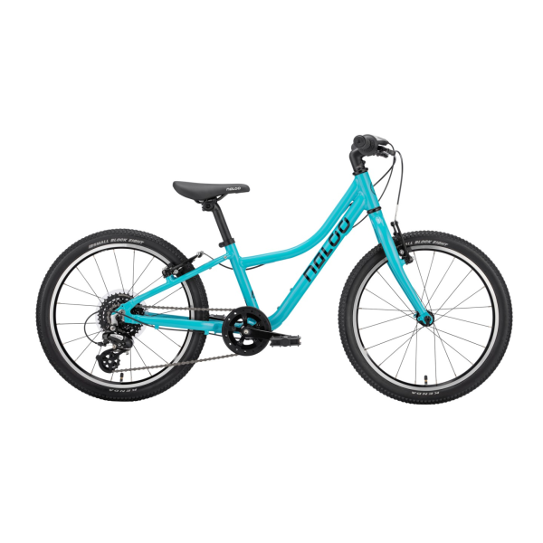 Naloo Chameleon 20", Mk2.1