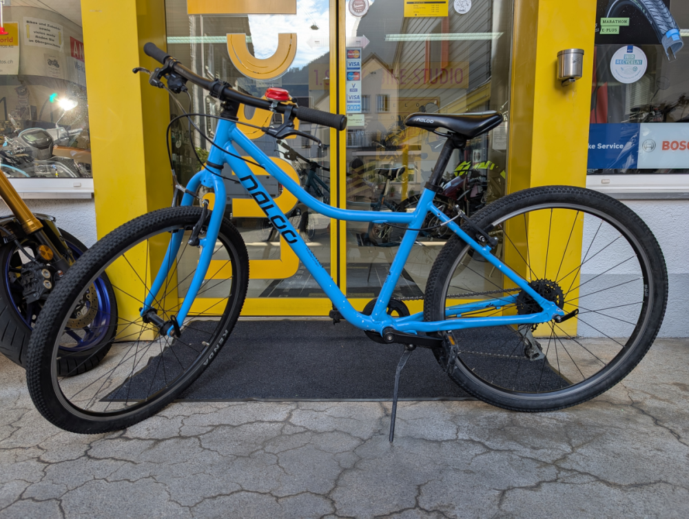 Naloo Chameleon 26"